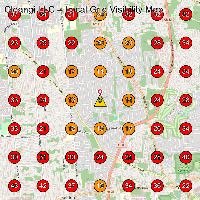 Cleangi LLC GeoGrid visibility map for House Cleaning Service in Selden